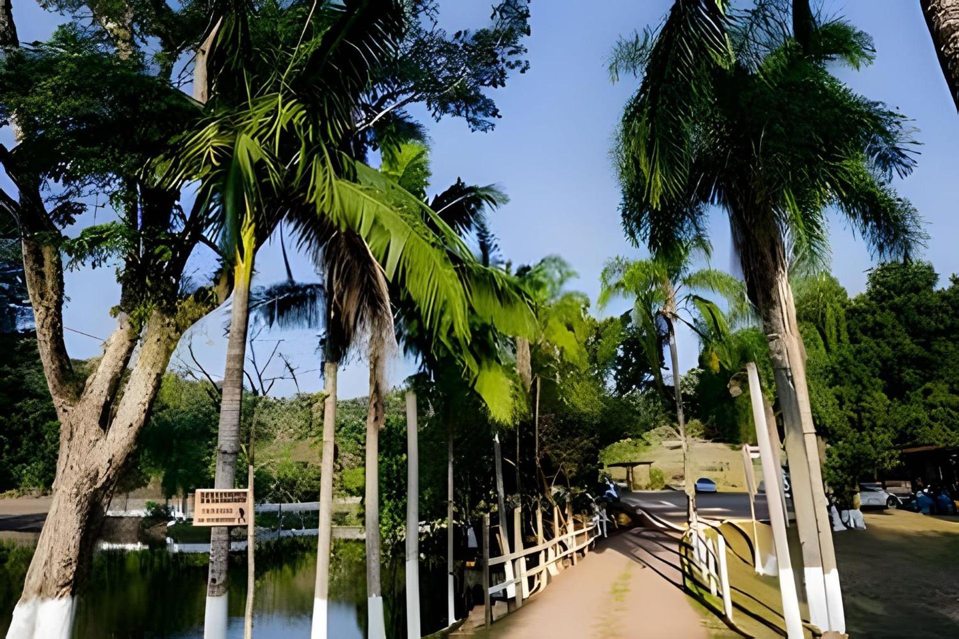 Recanto Das Aguas - Chales No Meio Da Mata Atlantica Eldorado Exterior photo